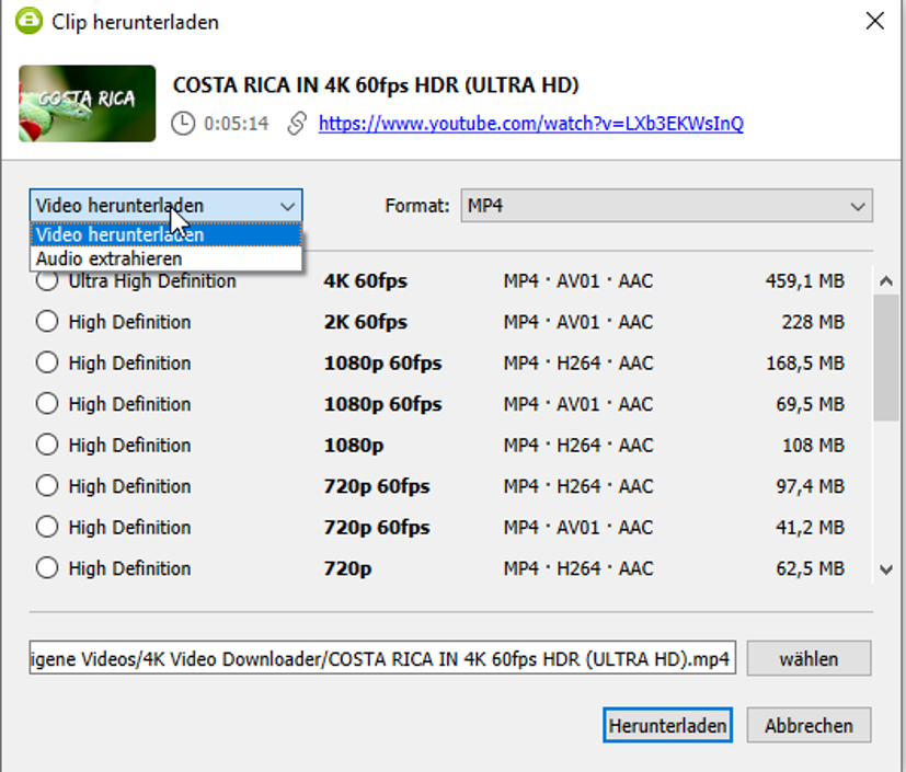 4K Video Downloader Download im MP4-Format