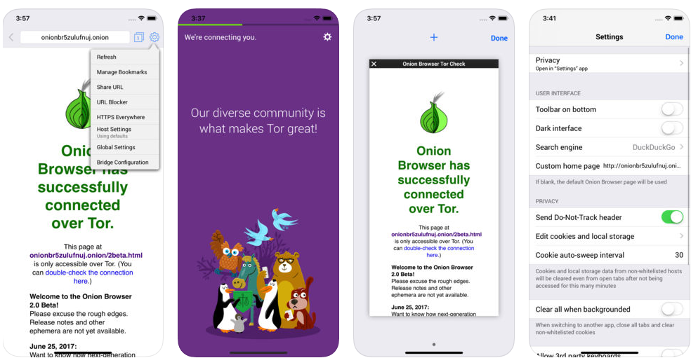 Onion Browser für iPhone und Zugang zum Darknet